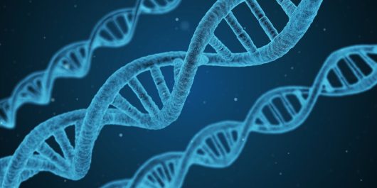 dna-1811955_1920-1536x768
