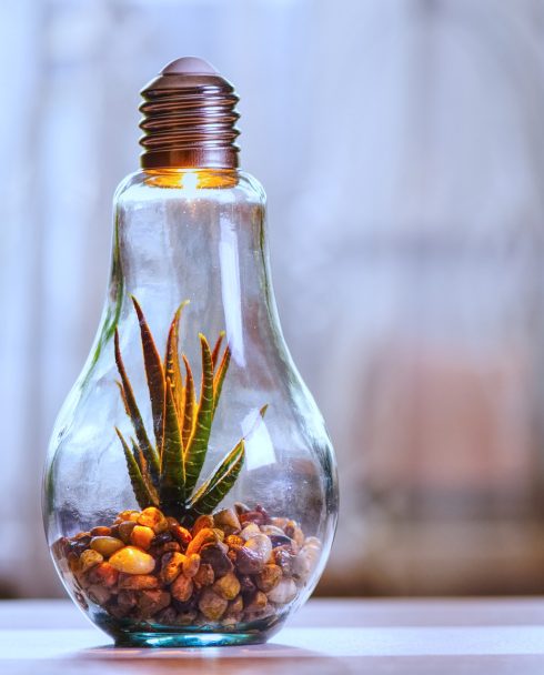environmental-protection-4158658_1280 (1)